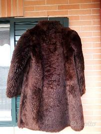 Pelliccia di Castorino.