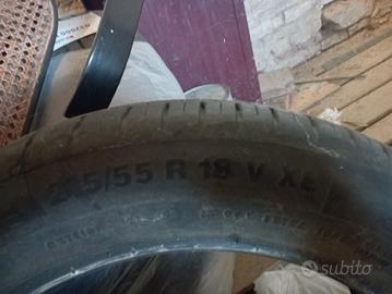 gomme estive 
