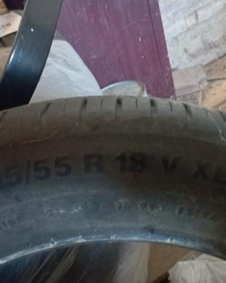 gomme estive 