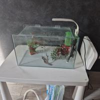 acquario 50x27x30
