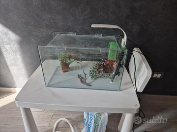 acquario 50x27x30