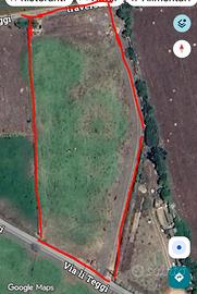 Terreno agricolo