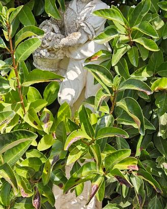 statua da giardino 