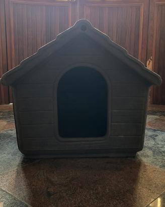 cuccia  per cani 