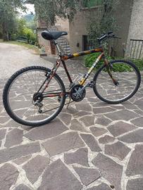 Mountain bike