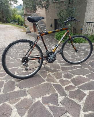 Mountain bike