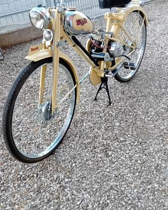 BIANCHI  AQUILOTTO 