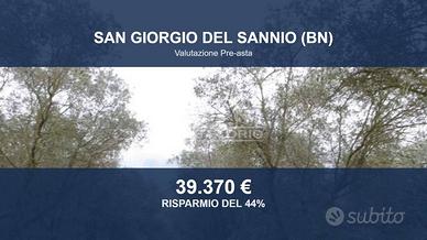 Immobile in asta di 94562 m² a San Giorgio del San