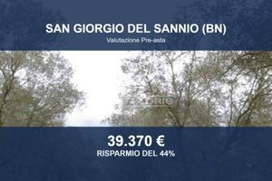 Immobile in asta di 94562 m² a San Giorgio del San