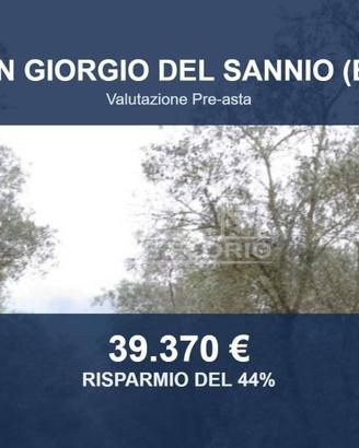 Immobile in asta di 94562 m² a San Giorgio del San