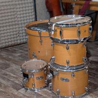 Batteria Mapex Pro M — Solo Fusti (All Maple)