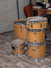 Batteria Mapex Pro M — Solo Fusti (All Maple)