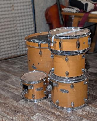 Batteria Mapex Pro M — Solo Fusti (All Maple)