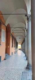 Bilocale o spazioso monolocale per referenziata