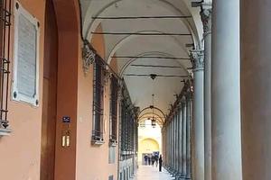 Bilocale o spazioso monolocale per referenziata