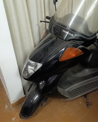 Honda foresight 250 4t