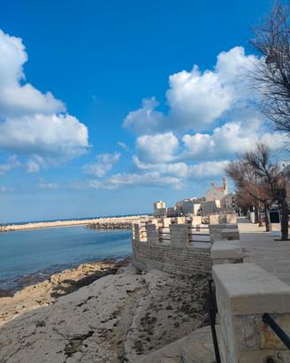 Cessione quota societaria di locale fronte mare