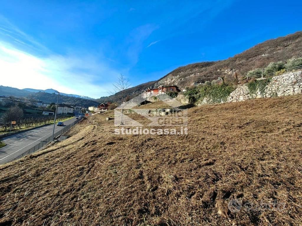 Terreno di 4000 m² a Mori - Vista 5