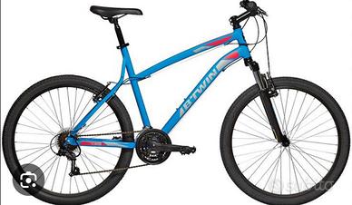 mountain bike bicicletta 