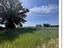 Immagine 9