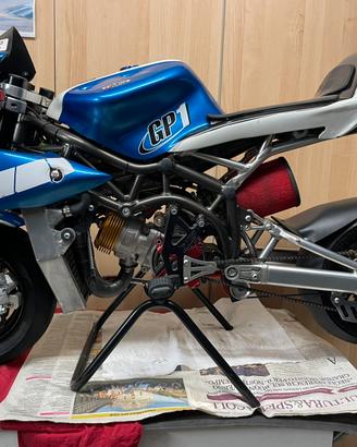 Minimoto DM