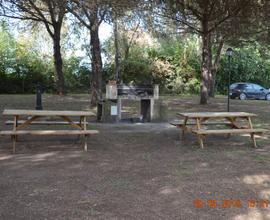 Vicinissimo al mare della maremma