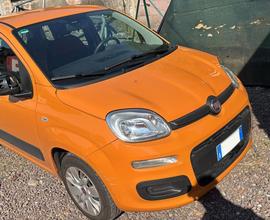 Fiat Panda sinistrata