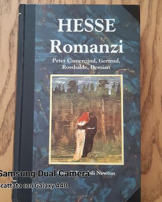 libro di Hermann Hesse