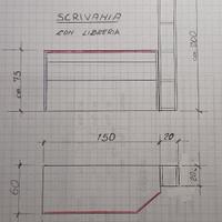 Srivania con libreira