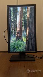 Monitor BenQ 24" 2K QHD IPS 16:9