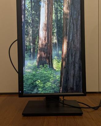 Monitor BenQ 24" 2K QHD IPS 16:9