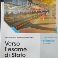 Verso l'esame di Stato-DIRITTO SENZA FRONTIERE  UP
