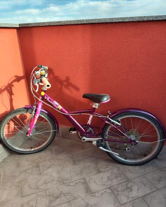 Bicicletta bimba 6/10 anni