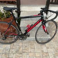 Bici da corsa  torpado