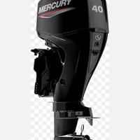 Mercury 40 efi orion