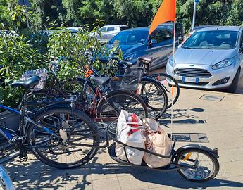 Carrello Bici