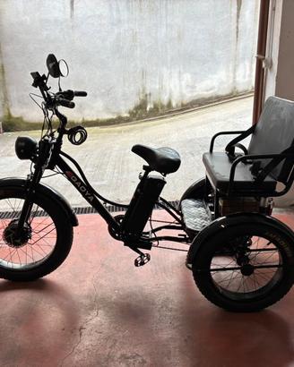 Triciclo elettrico (e-bike)