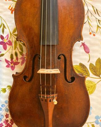 Violino