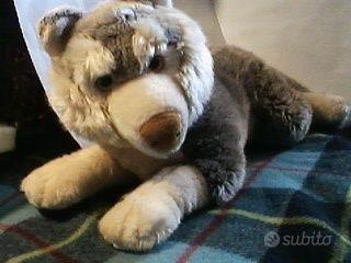 4 Peluche nuovi: grandeHusky,Gufo,Coniglio,Cucciol