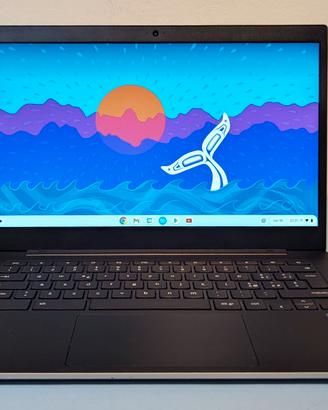 Samsung Galaxy Chromebook Go 14 perfette condizion