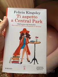 Ti aspetto a central park di Felicia Kingsley