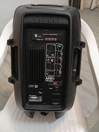 Casse amplificate 300 x 2