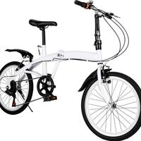 Bici pieghevole adulto 