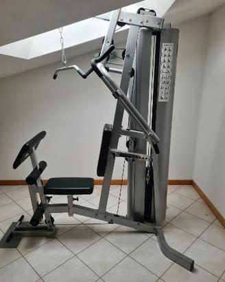 Palestra professionale