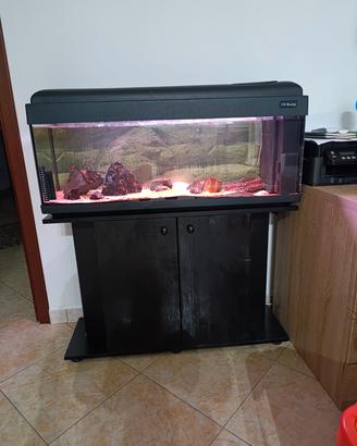 acquario
