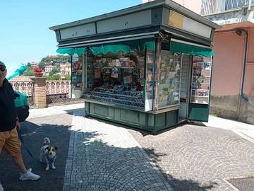 Attività commerciale - edicola giornali