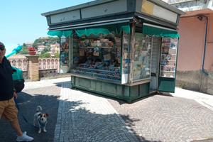 Attività commerciale - edicola giornali