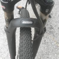 Bici elettrica
