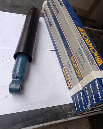 Ammortizzatori post. Renault 9 Monroe r3724 coppi