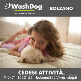 Attività avviata toelettatura self-service WashDog